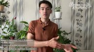 Победа умерла (читает Александр Гек, г. Астрахань)