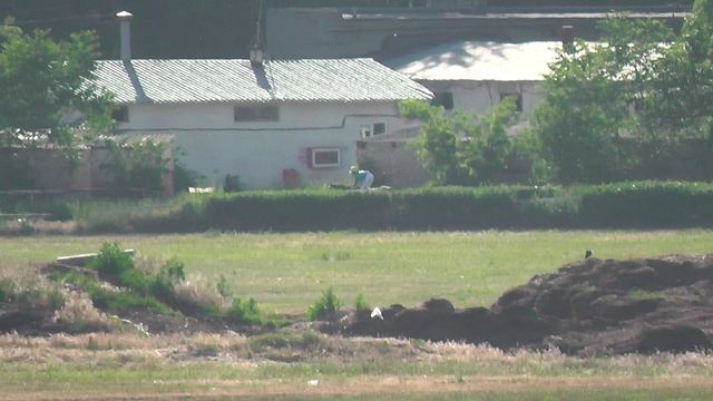 1.06.2025г скачка№ 16