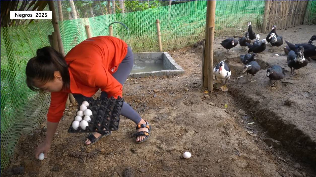 Дорис 27. Работы на домашнем участке.