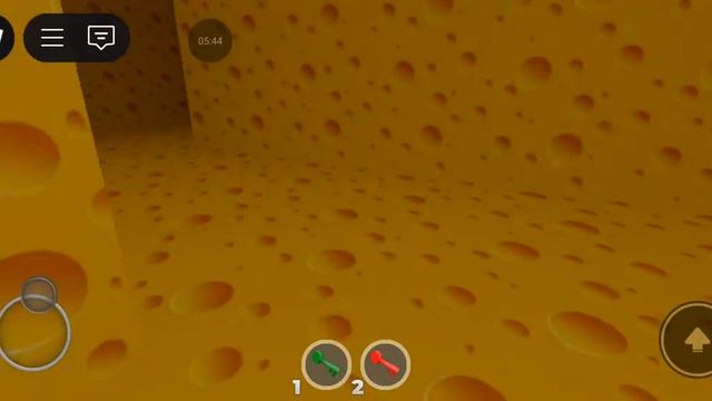 Играю побег от сыра с другом