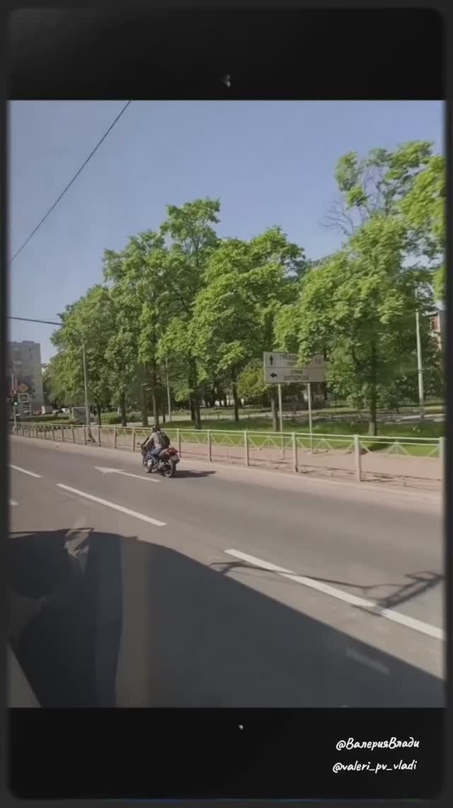 🎬🎬🎬