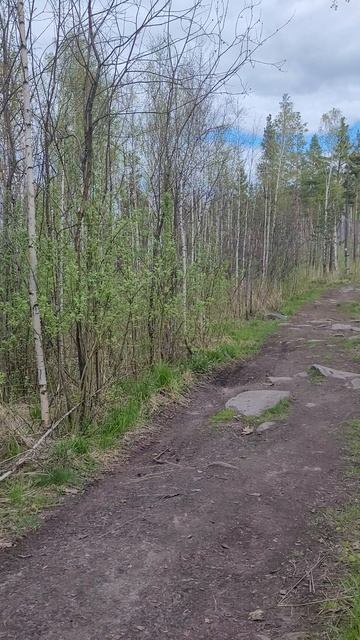 Точка на карте- скалы Петра Гронского
