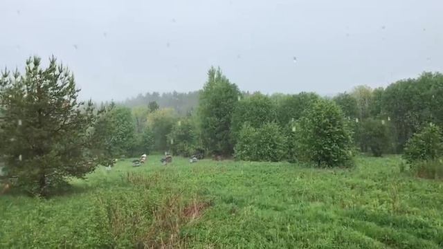 ПРИЕХАЛ НА ПАСЕКУ В ДЕРЕВНЮ ПОКОСИТЬ ТРАВУ, А ТУТ..