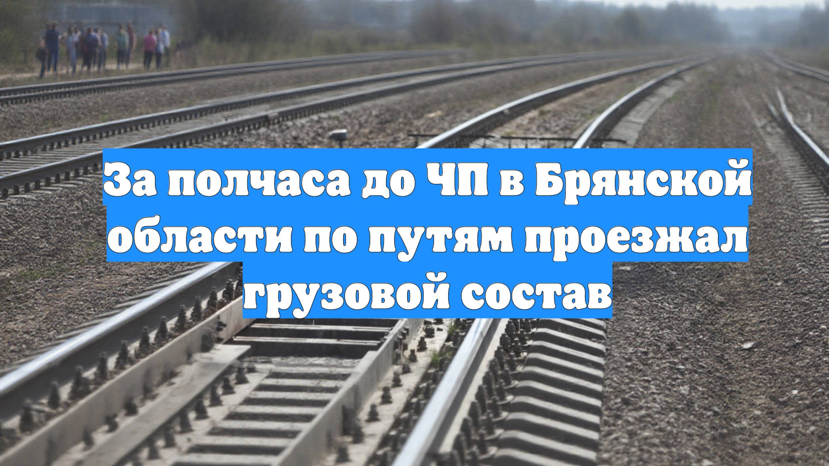 За полчаса до ЧП в Брянской области по путям проезжал грузовой состав