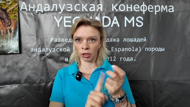 Андалузская конеферма Марии Солдатовой: Часть1