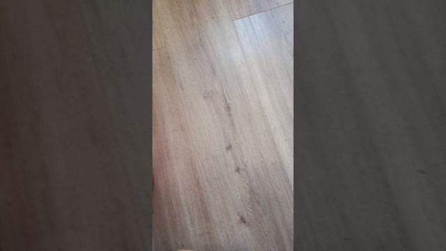 This Kep если хочешь норм разойтись то напиши