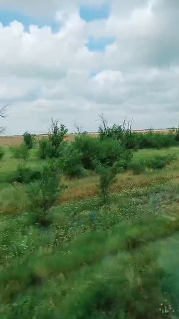 Пролетели Волгоград