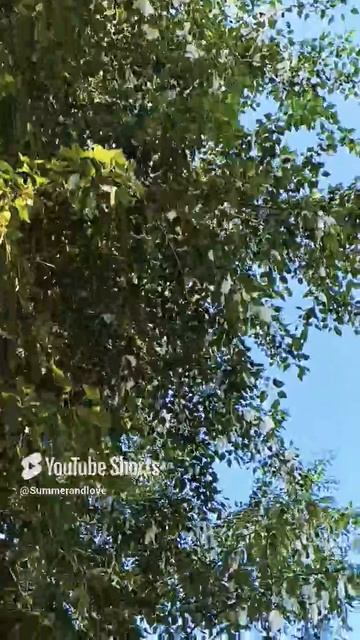 "Живы мы покуда.."