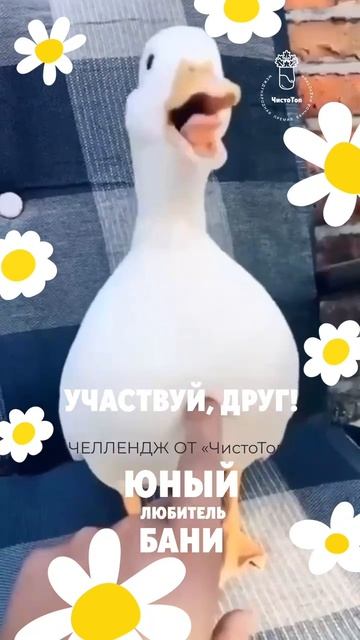 ЮНЫЙ ЛЮБИТЕЛЬ БАНИ!