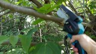 Электросучкорез в действии