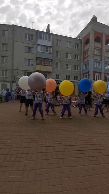 petal_20250601_120953.mp4