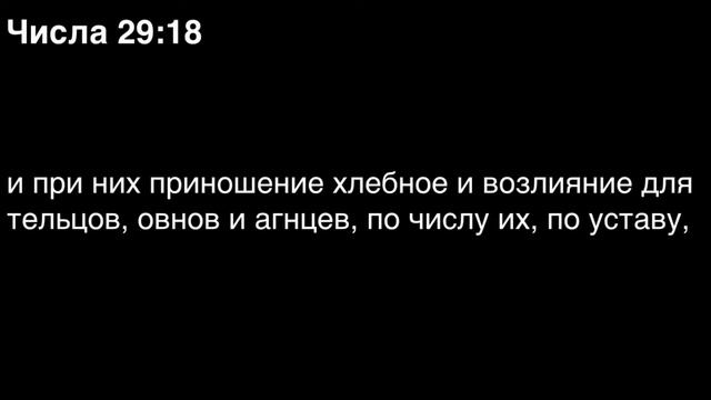 Числа, глава 29