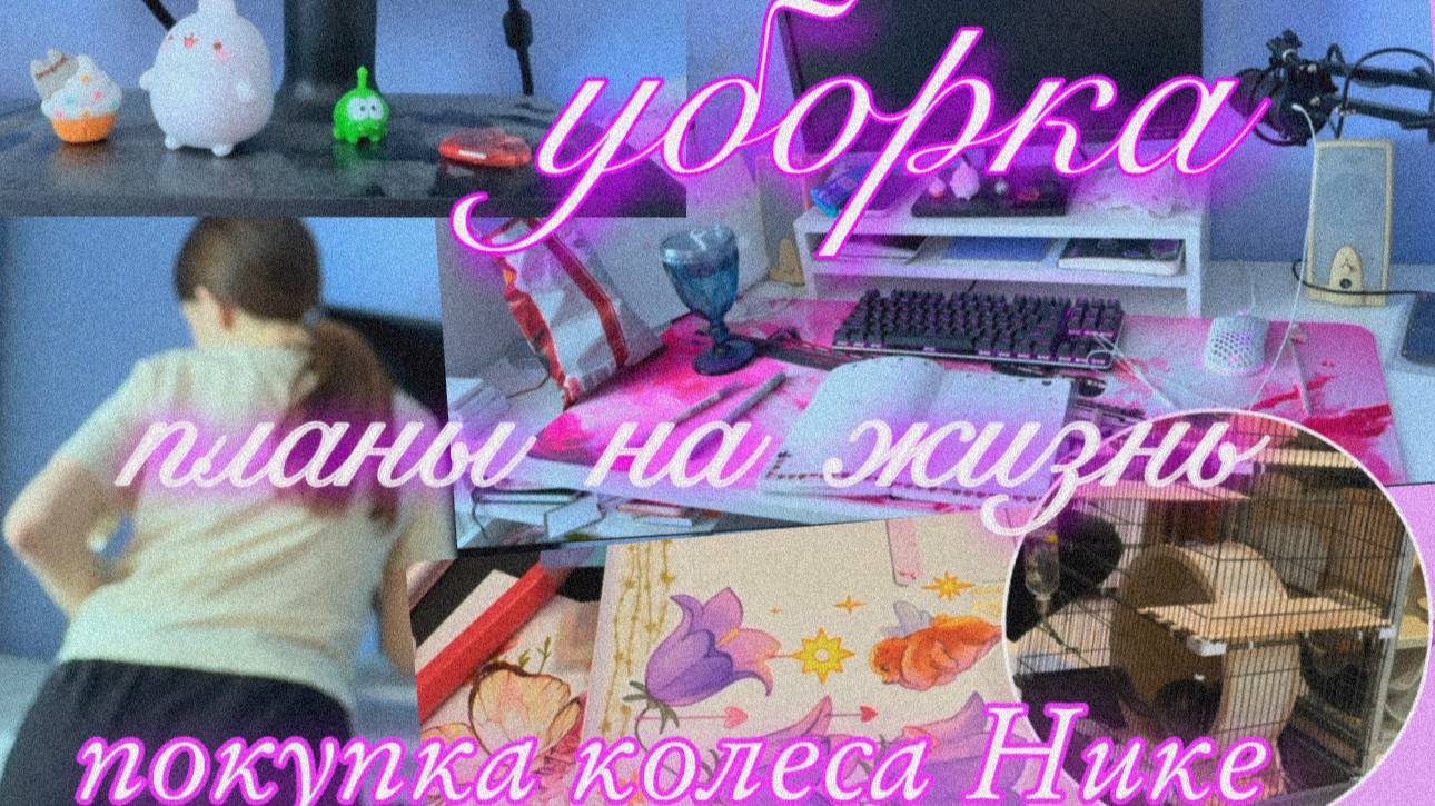♡ будни безработной стримерши | DMur ♡