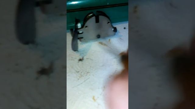 Разборка держателя шпульного колпачка Ставьте 👍 жми?