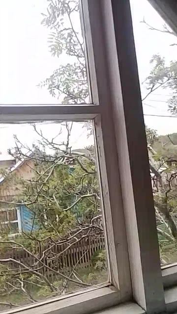 вотето лето!?