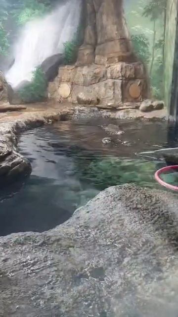 Весёлая компания. #shоrts