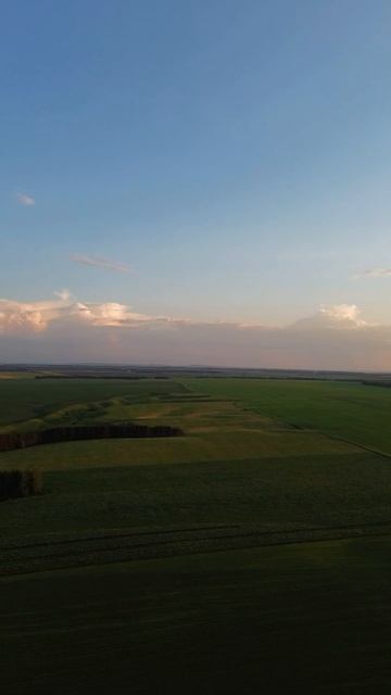 Полет dji mini3