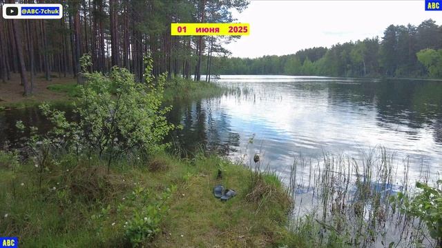 Вот и Лето 01.06.2025 (4К) #юныйпрадедбодрыйдед #авсарх