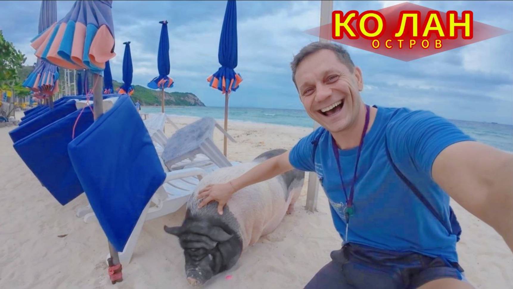 Кому Свинья, а Кому Семья! Остров Ко Лан Удивляет Своими Посетителями! Ужин В Prince Palace Pattaya.