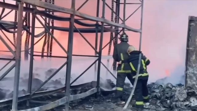 Пожар город Красногорск 31.05.2025г.