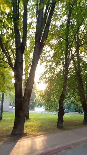 мир вашему дому #моменты #жизнь #мир #атмосфера #вечер #природа