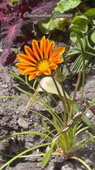 Весенний город