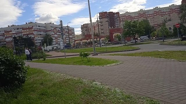 Всего один тополь