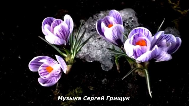 Музыка  Для Души  ,,ВСТРЕЧАЯ  ВЕСНУ,,  Музыка Сергей  Грищук #КРАСИВАЯМУЗЫКА   #музыка (1)