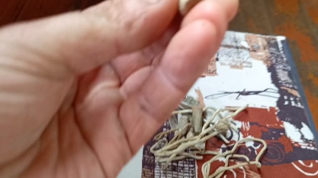 Зачетная находка с металлоискателем на лесной дороге.
