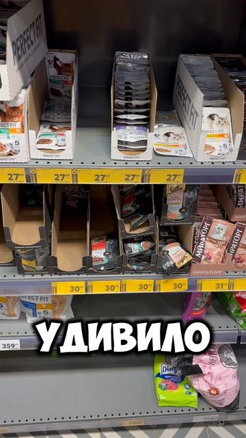 Заехал купить кошкам еды, а в магазине….. #shorts #cats #еда #кормкошкам