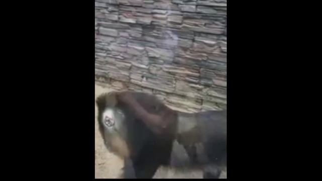 Весь текой,Знает себе цену