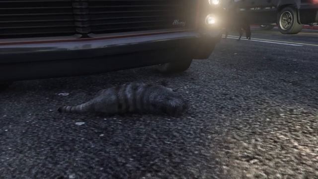 FlazinЭТОГО КОТЁНКА НИКТО НЕ ХОЧЕТ ПРИЮТИТЬ В ГТА 5 ! Я СТАЛ КОТОМ НА 24 ЧАСА В GTA 5