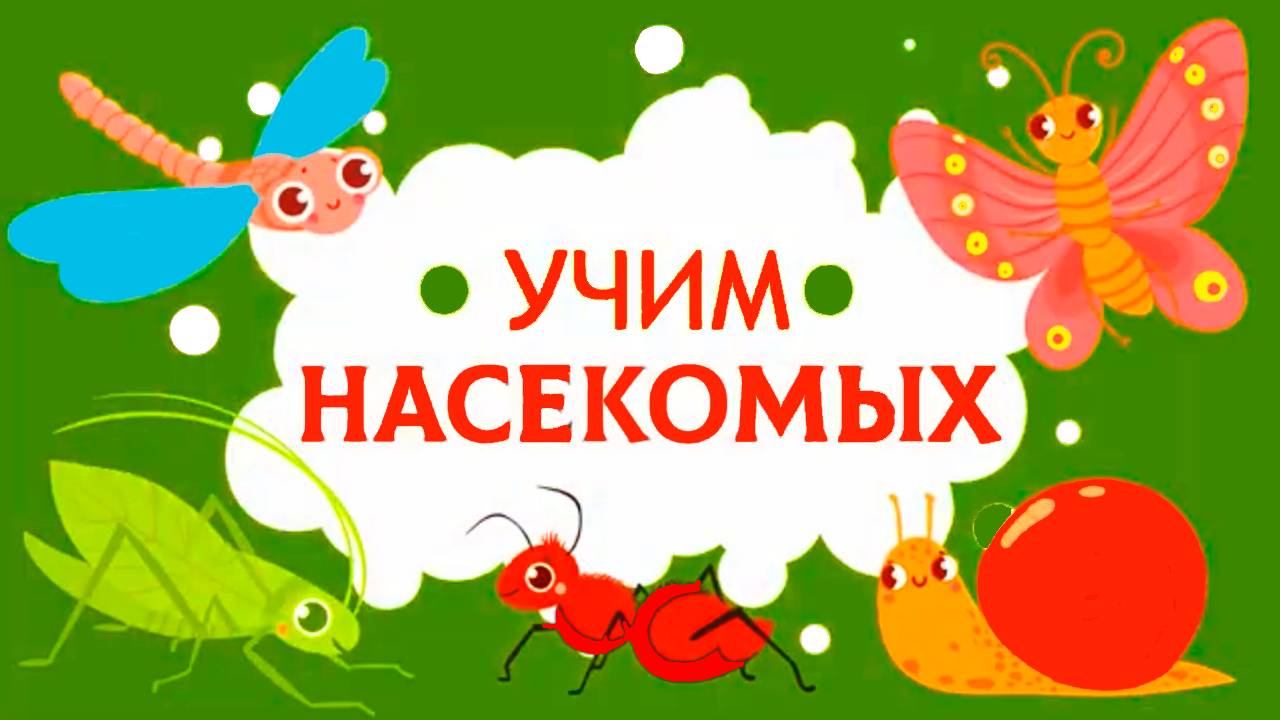Учим Насекомых - Развивающий мультик для детей