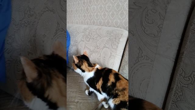 Детишки едят мороженое ☺️