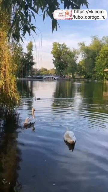 Я Родину люблю!