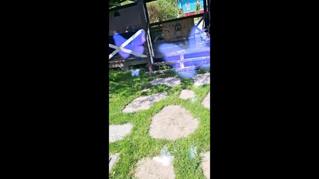 1000025215.mp4 (Собака наблюдает за стрижкой газона у дома А- фрейм)