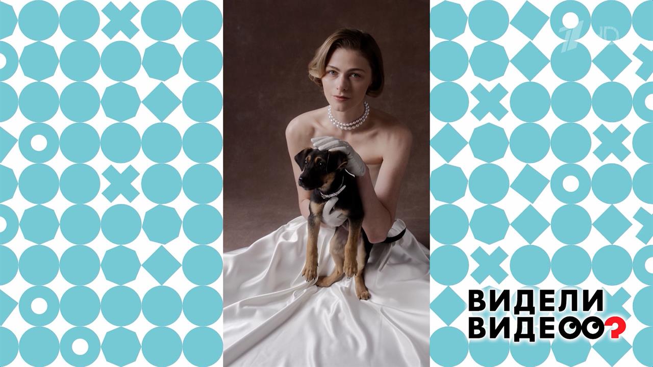 Дворняги-фотомодели. Видели видео? Фрагмент выпуска от 01.06.2025