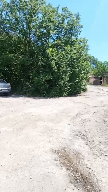 scene_output.mp4