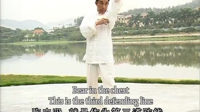 Багуачжан линии мастера Ша Гочжена. Ч 2