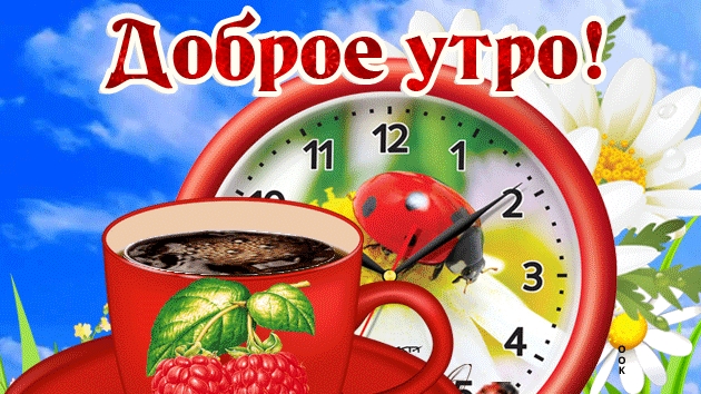С добрым летним утром!