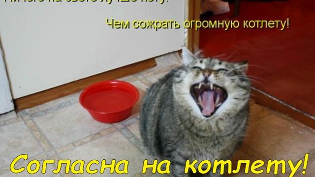 Своя ноша 25 11 mp3 последний