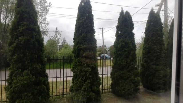 Броненосная