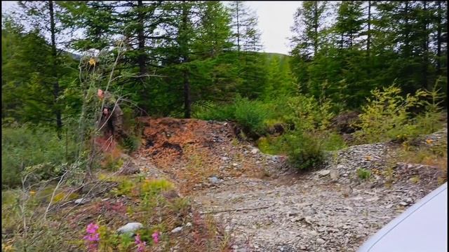 За хариусом на Кулу. Часть 2: Тихая охота в посёлке Омчак