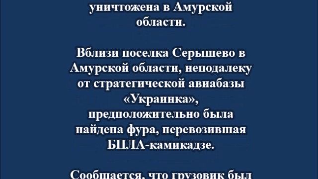 Фура с БПЛА-камикадзе уничтожена в Амурской области
