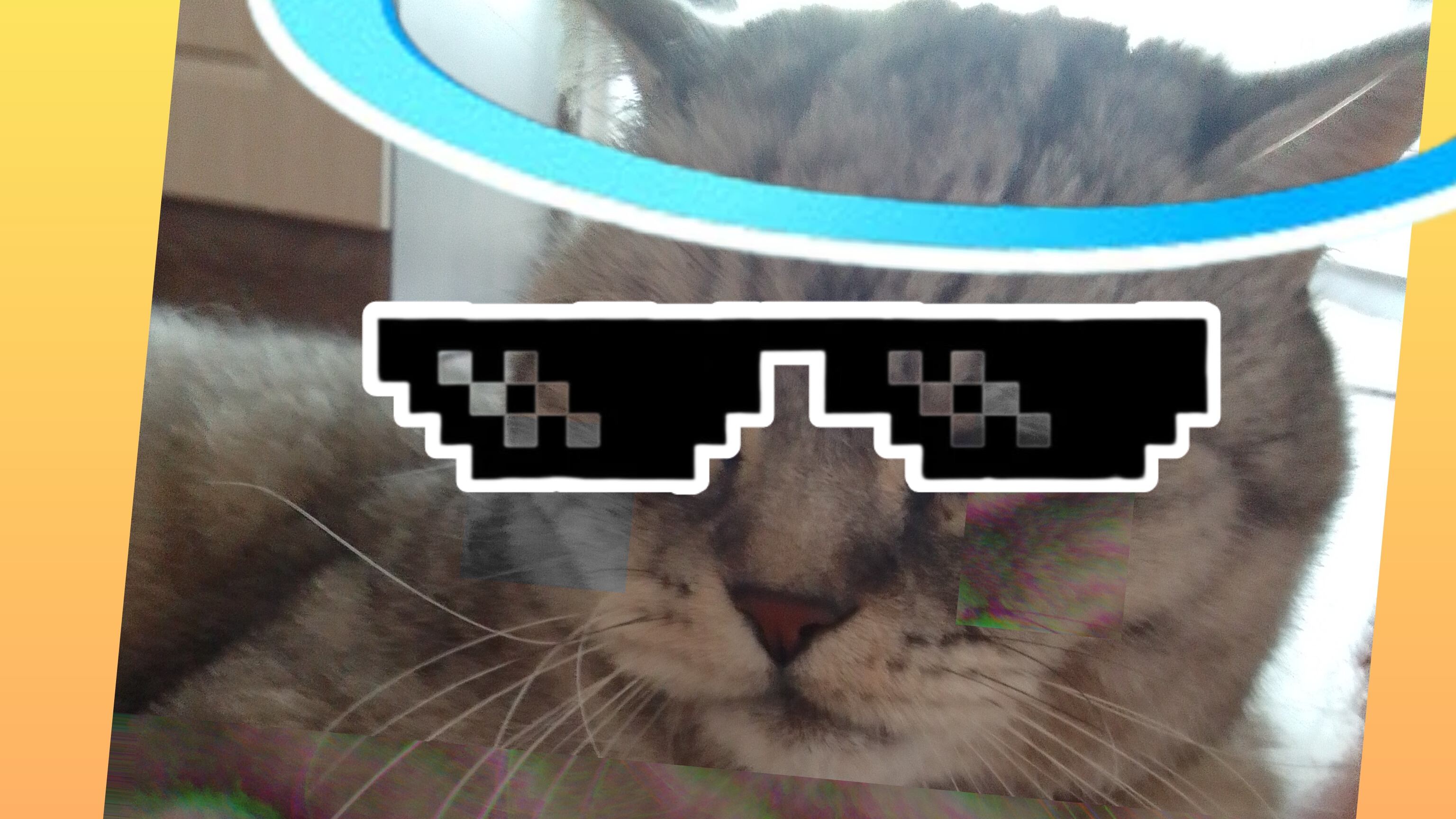 кас, кот милый 🐈