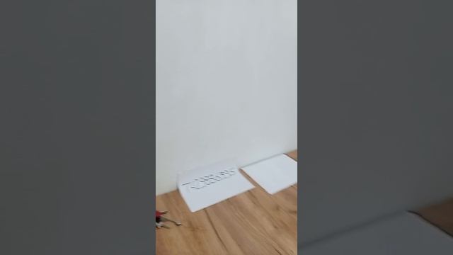 квартира авито