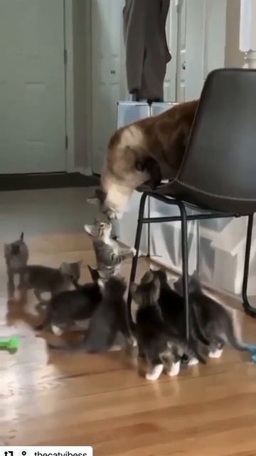 1000084405.mp4