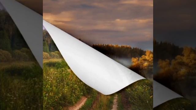 VID_20250601_060013_998.mp4