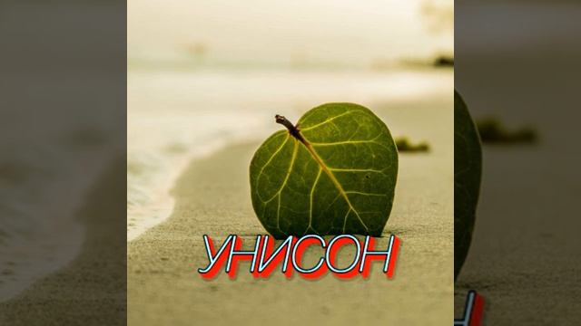 УНИСОН Музыка Сергей Грищук
