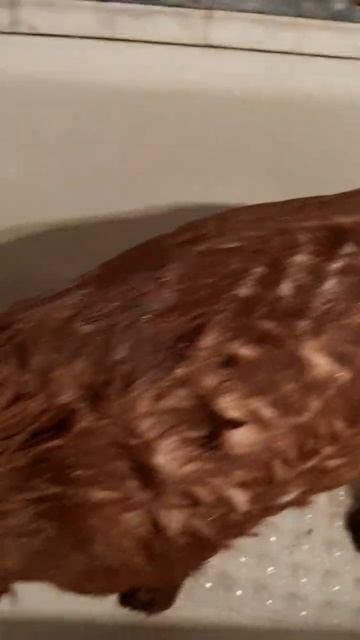 1000471599.mp4